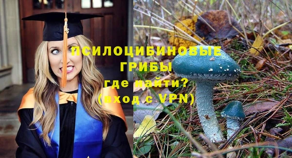 ПСИЛОЦИБИНОВЫЕ ГРИБЫ Нефтекумск